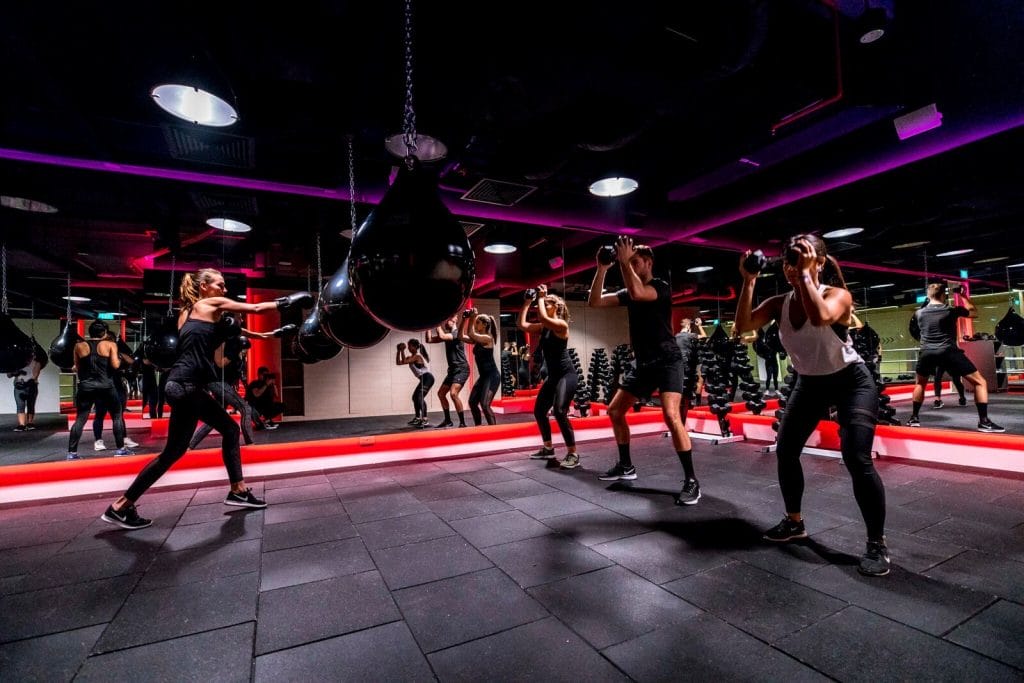Empowering Workouts at Boutique Gyms Empowering Workouts at Boutique Gyms