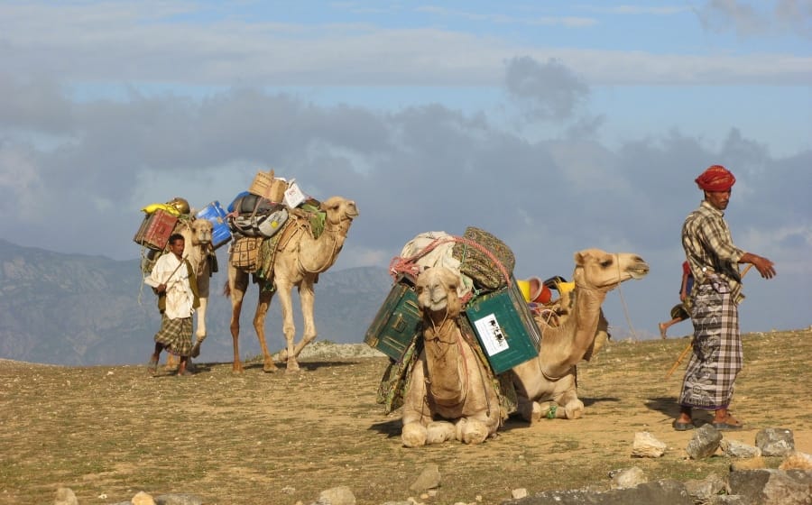 Full Steam Ahead — How the Latest Travelling Trend is Affected by #TheThumbergEffect Full Steam Ahead — How the Latest Travelling Trend is Affected by #TheThumbergEffect