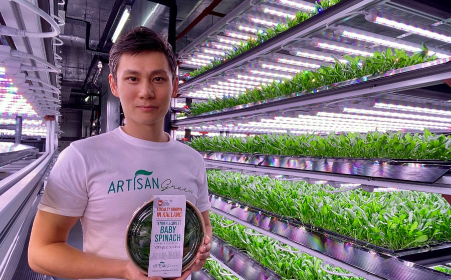#MensFolioMeets the Man Behind Local Hydrophonics Farm “Artisan Green” #MensFolioMeets the Man Behind Local Hydrophonics Farm “Artisan Green”