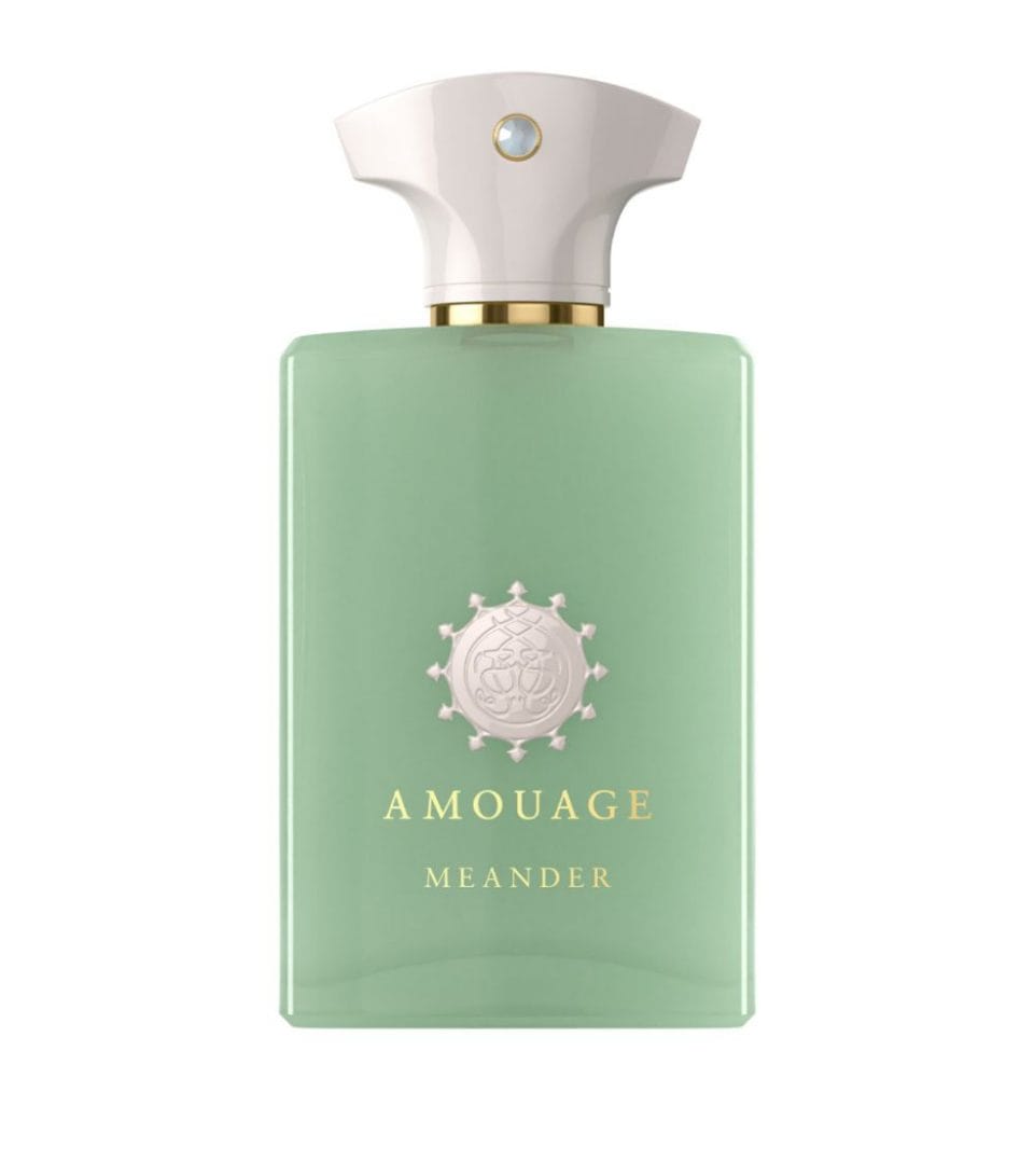 The Best Fougere Fragrances for Men Make Things Green amouage meander