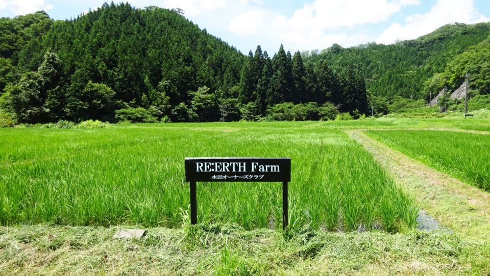 RE:ERTH's Koshihikari Rice is Wheat-ly Good From its Make To a Meal