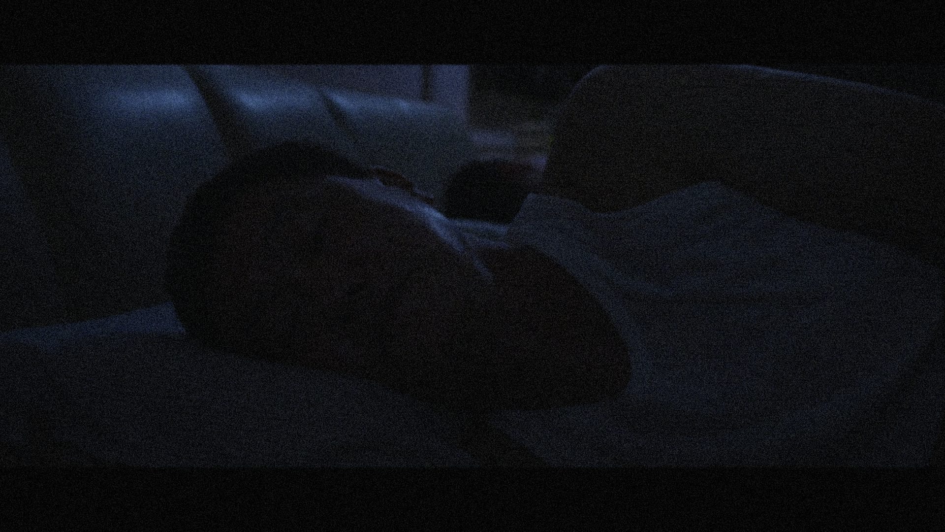 At the European Film Festival, Three Films on Loss And Finding a Personal Voice 