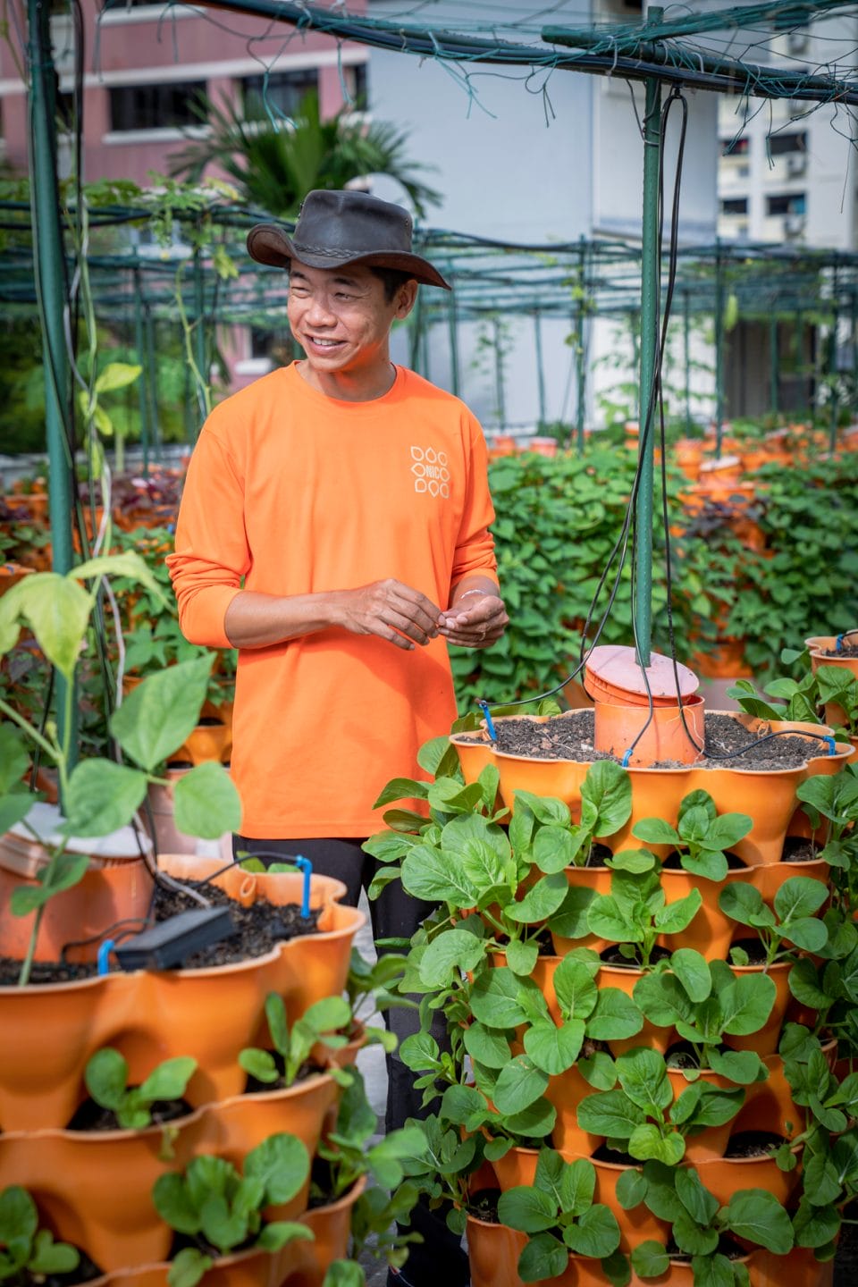 A Tour Of the Nature’s International Commodity With JAH Cultura's Tan Chong Hui