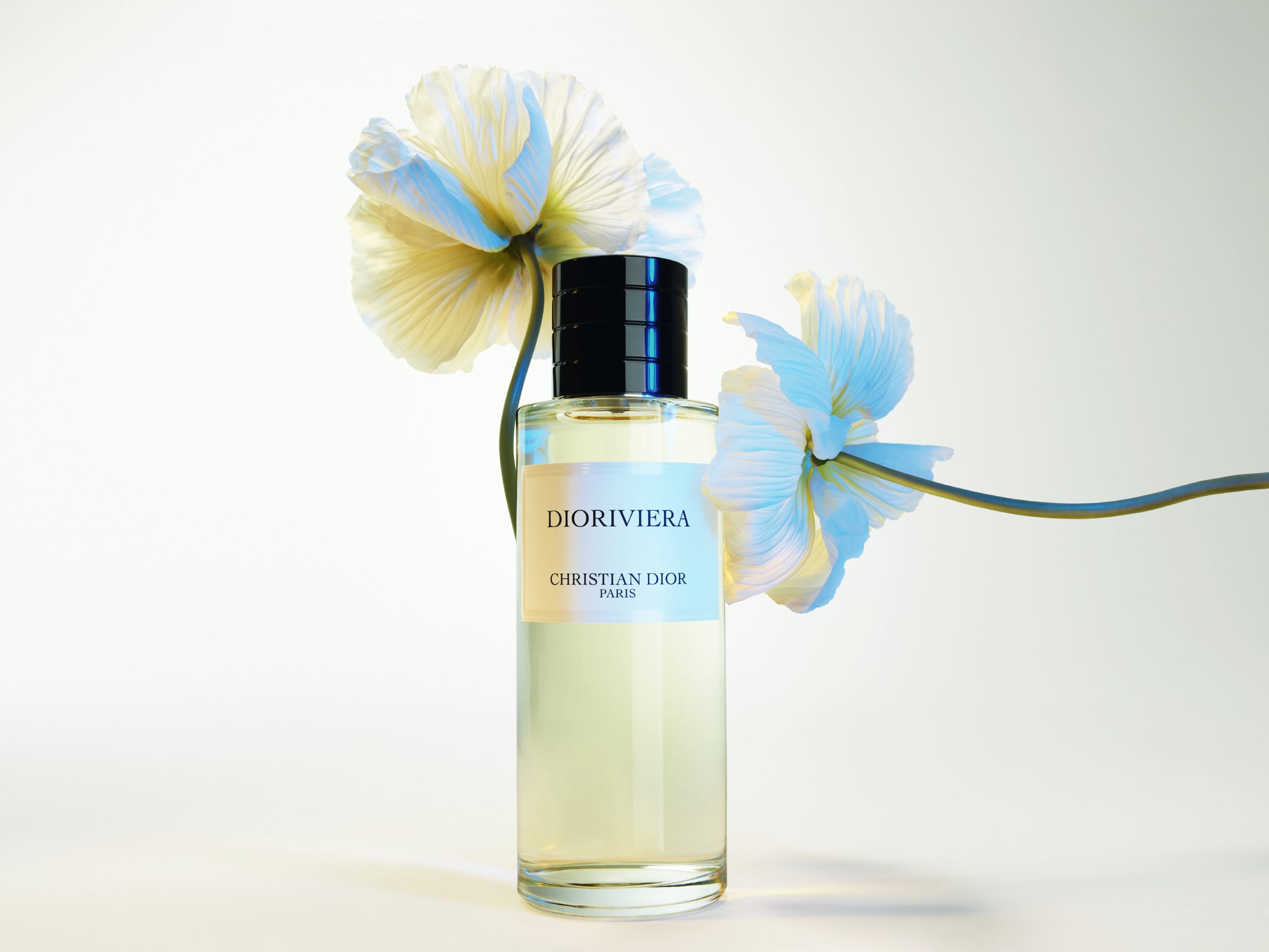 On the Bright Side With La Collection Privée Christian Dior Dioriviera 