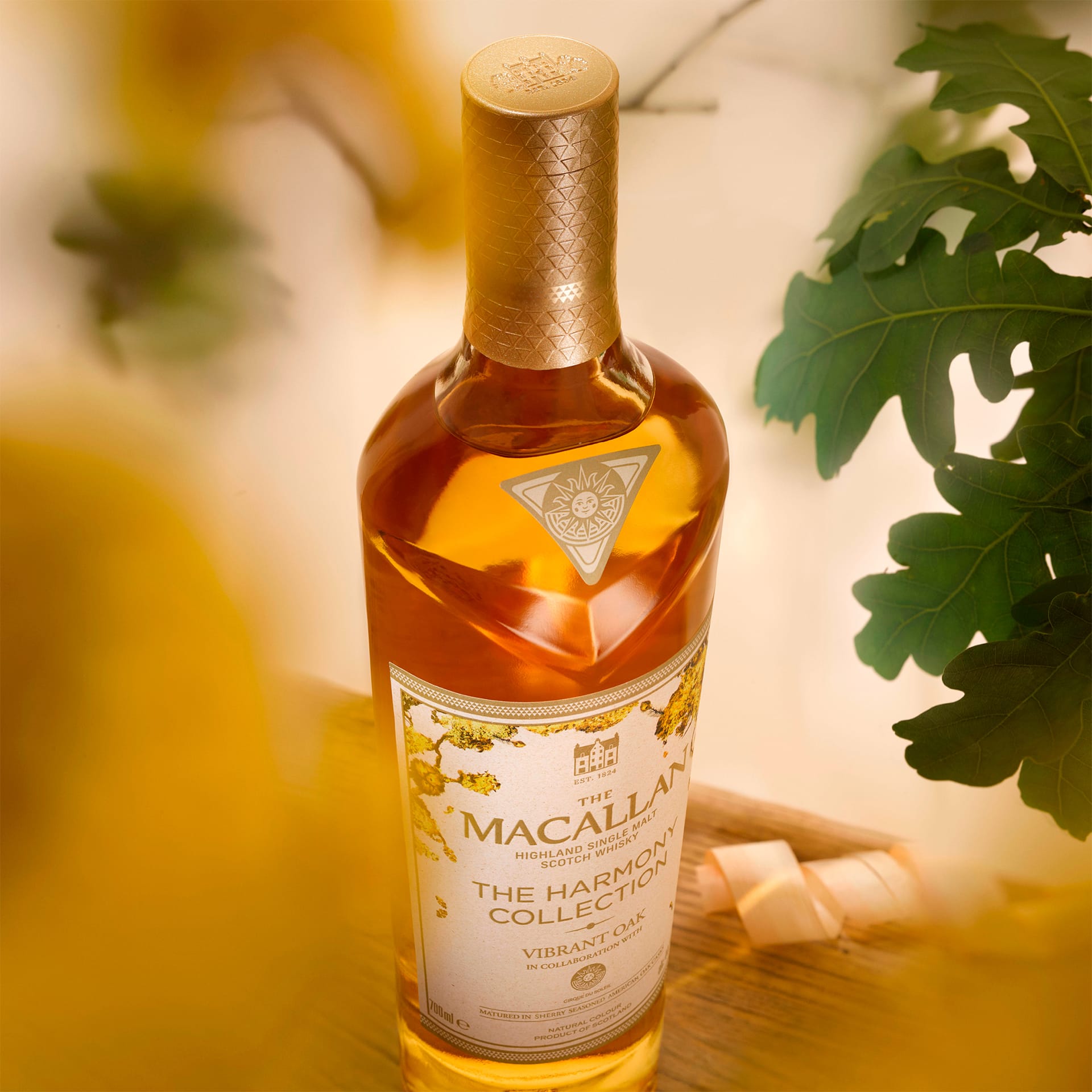 The Macallan Unveils the Harmony Vibrant Oak - Men's Folio
