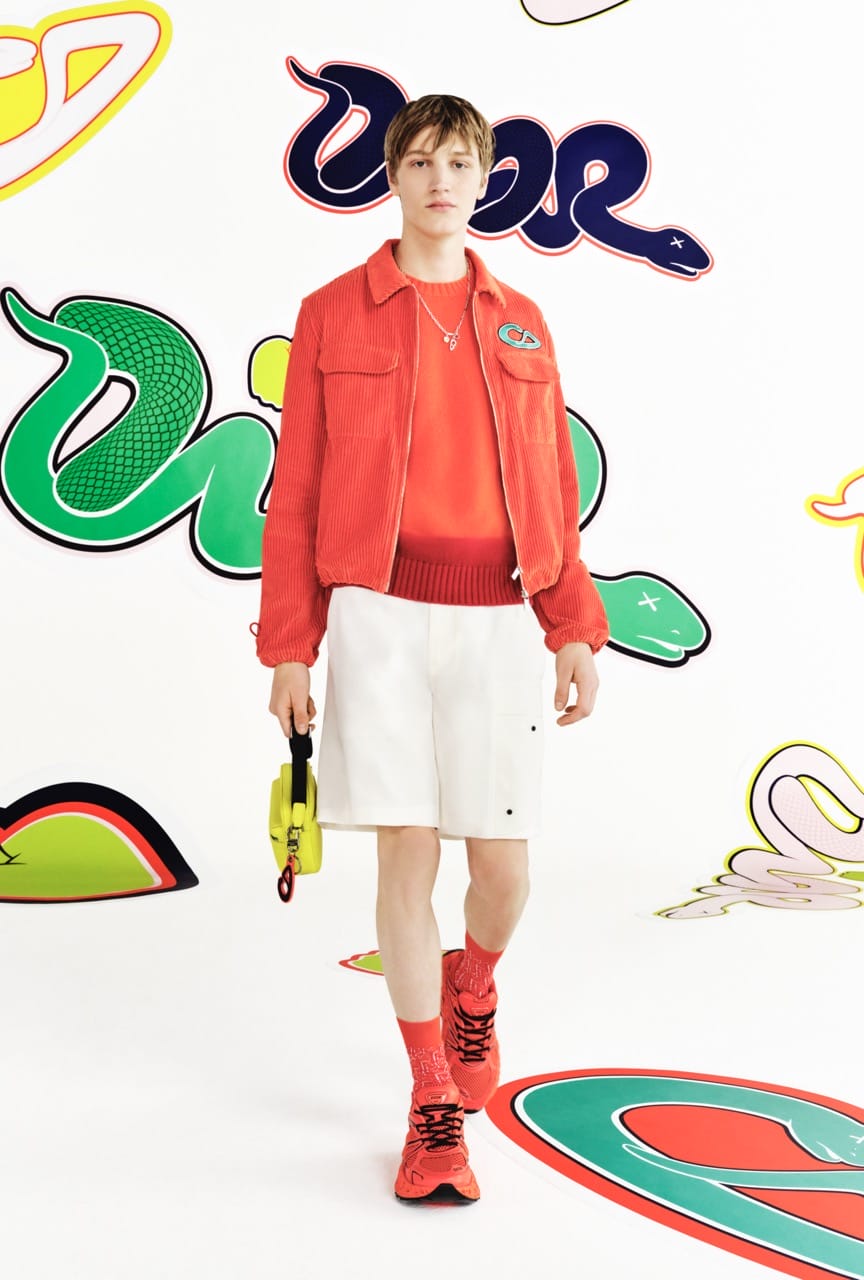 ディオール Dior KAWS SNAKE フィギュア VIP 限定 28cm ディオール Dior KAWS SNAKE フィギュア VIP 限定 28cm ディオール